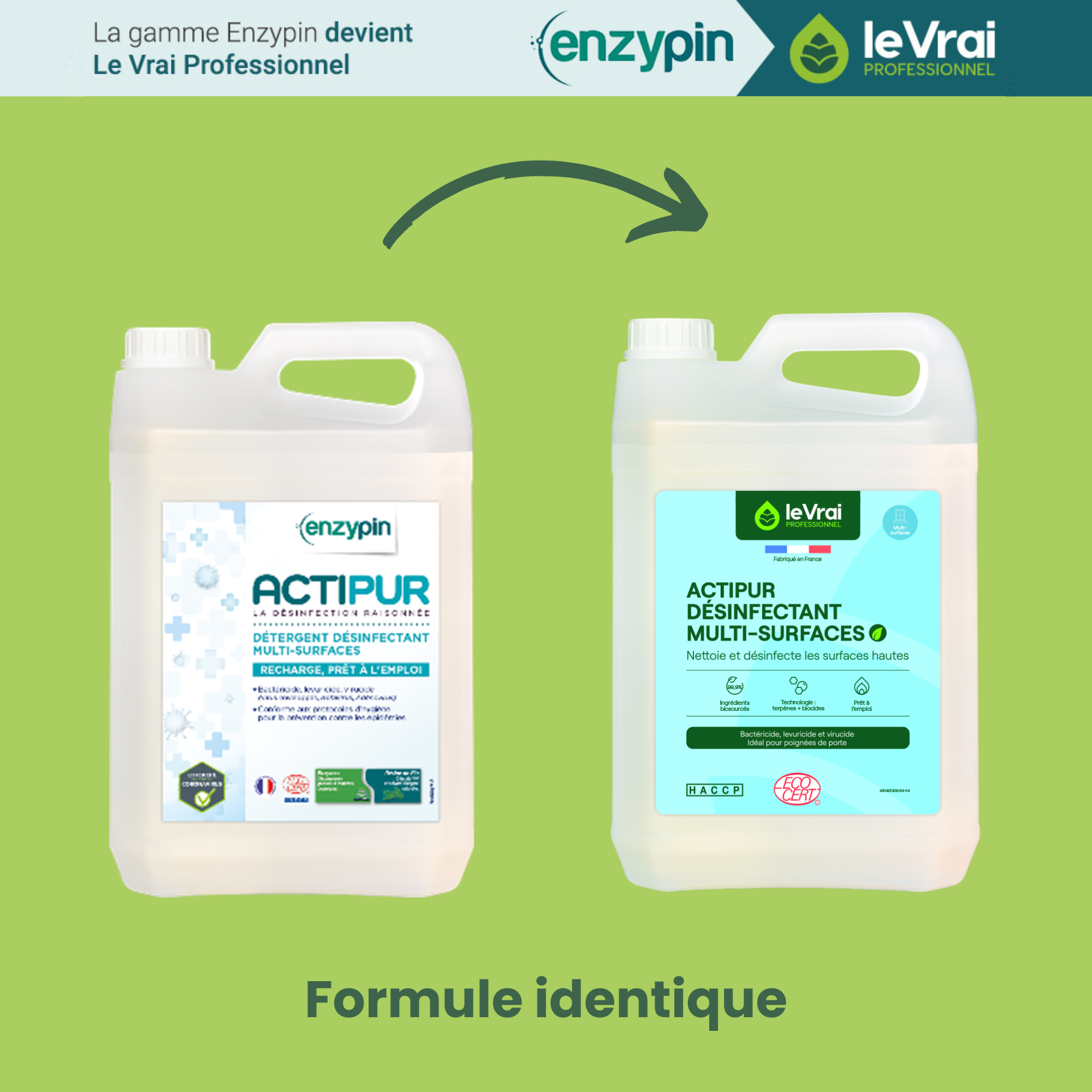 Détergent désinfectant virucide multisurfaces Actipur - 1 carton de 4 bidons de 5 l