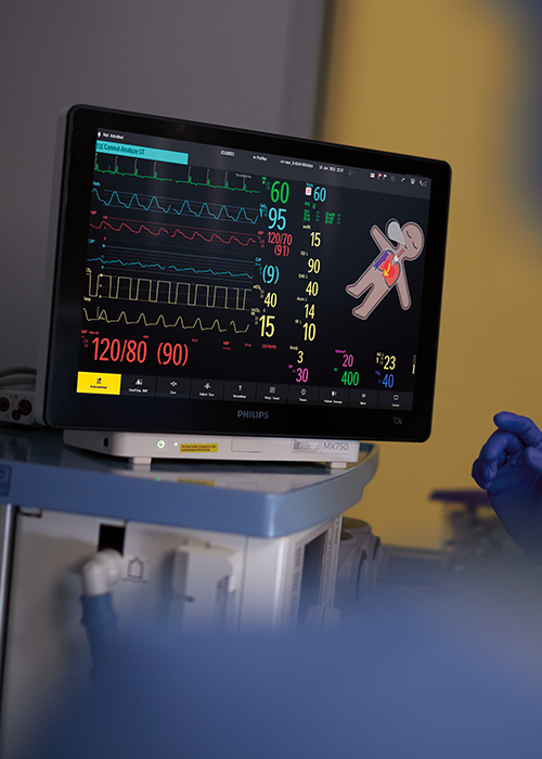 Visual Patient Avatar MX750