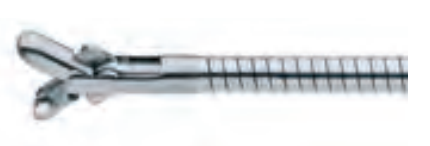 Pince à biopsie deux mors mobiles, souple