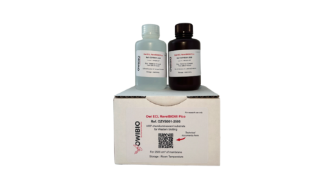 Green DNA/RNA Dry Transport