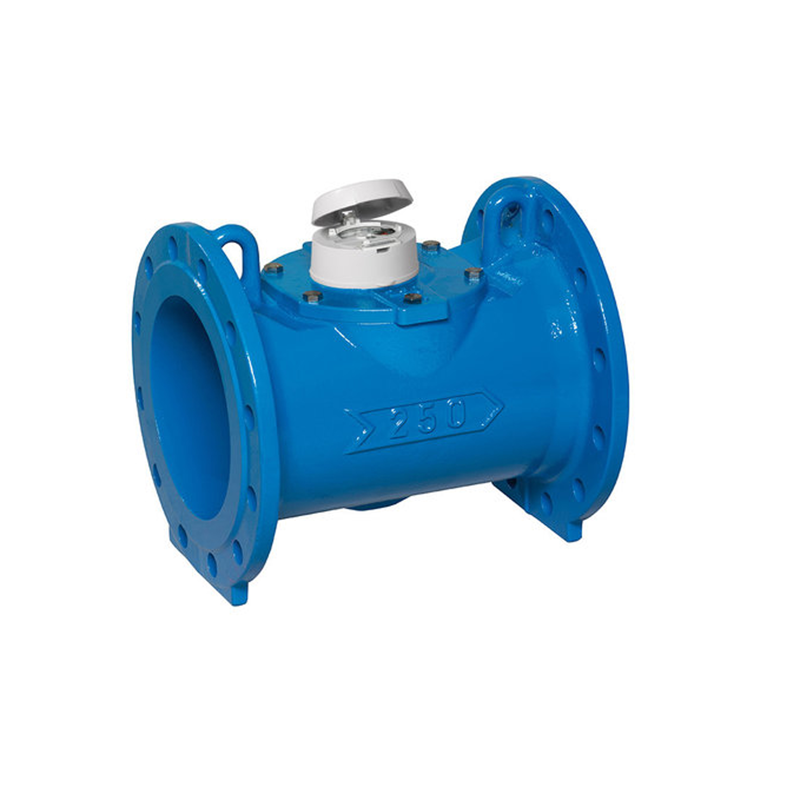 Compteur d'eau à hélice axiale Woltex 250 PN16 - DN250 - 450 mm - R40 - corps fonte cadran verre