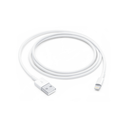 Câble Lightning vers USB Apple - 1 mètre