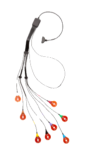 Faisceau de 8 capteurs pour examen crohn SensorArray DR3 SB3