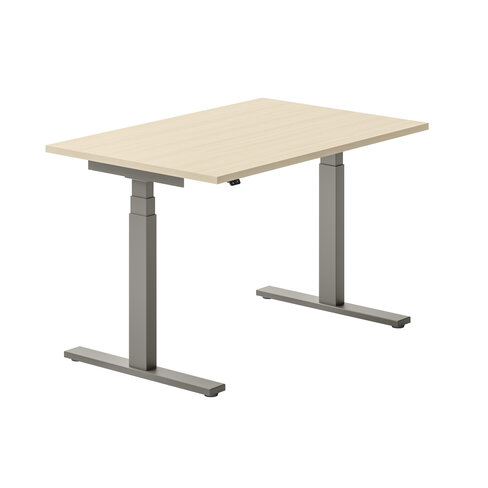 Bureau droit Ergo Up - l. 120 x pr. 80 cm - sans obturateur - réglage en hauteur électrique