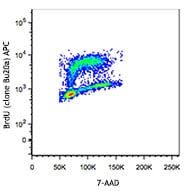 Bromodeoxyuridine (BrdU) Size: 25 mg