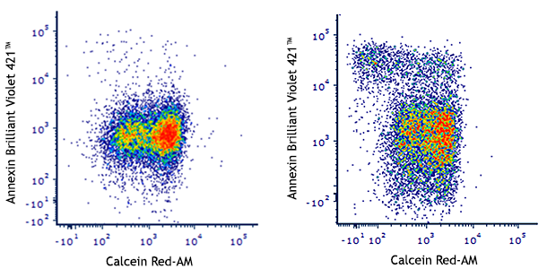 Calcein Red-AM Size: 10 x 25 ug