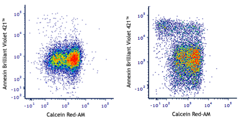 Calcein Red-AM Size: 10 x 25 ug