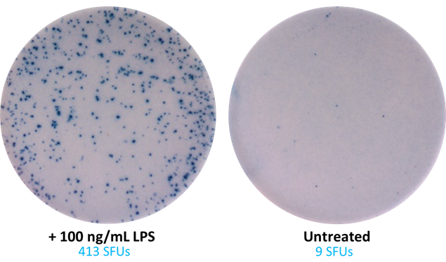 ELISpot MAX(TM) Deluxe Set Human IL-10 Reactivity: Human Size: 5 plate