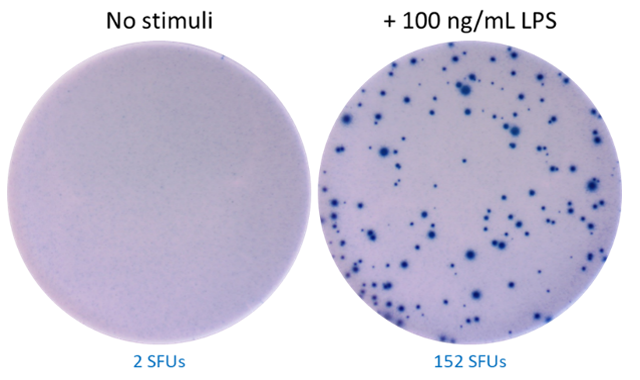 ELISpot MAX(TM) Deluxe Set Human IL-6 Reactivity: Human Size: 5 plate