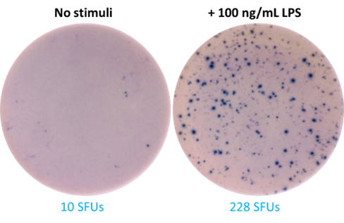 ELISpot MAX(TM) Deluxe Set Mouse IL-6 Reactivity: Mouse Size: 5 plate