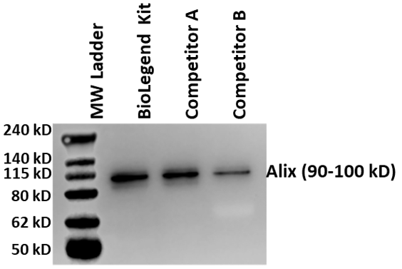 MojoSort(TM) Human CD9 Microbead Exosome Kit Reactivity: Human Size: 1 kit