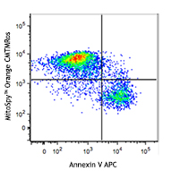 MitoSpy(TM) Orange CMTMRos Reactivity: Human, Mouse, Rat, All Species Size: 20 x 50 ug