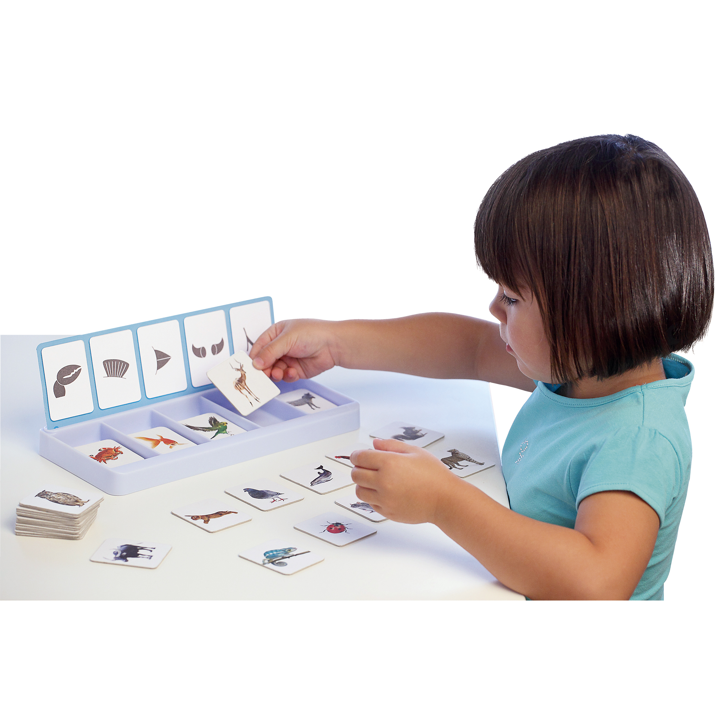 Atelier tris - les animaux