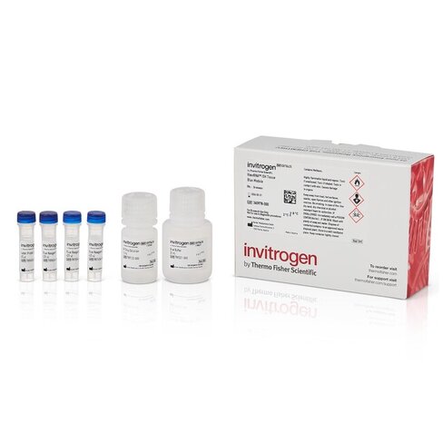 ViewRNA Fast Blue Module, 24 Assays