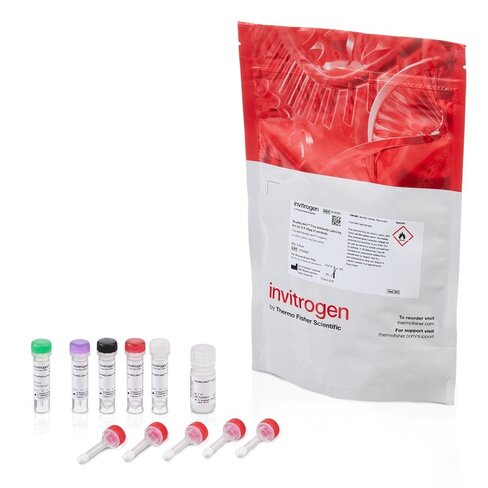 ReadyLabel AlexaFluor 647 Antibody Labeling Kit, 5 x 20 ?g of IgG