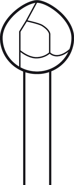 Fraise twin Cut ELAN 4 pour pièce à main 1 anneau - Ø 5,0 mm