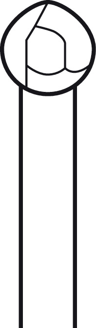 Fraise Twin Cut ELAN 4 pour pièce à main 2 anneaux - Ø 5,0 mm