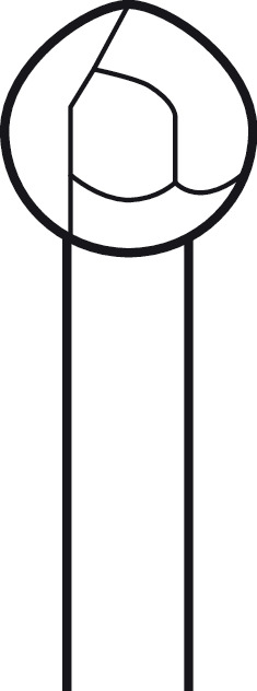 Fraise Twin Cut ELAN 4 pour pièce à main 2 anneaux - Ø 6,0 mm