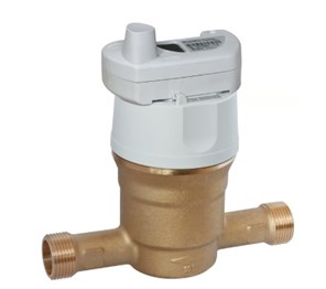 Compteur volumétrique Aquadis+ P1HR DN15 Everblu - l. 170 mm - R160 - corps laiton cadran verre - lot de 5