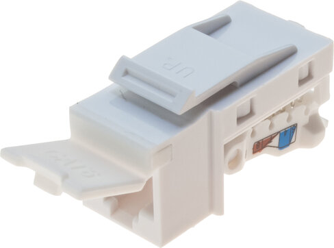 Noyaux RJ45 - cat 6 - UTP - EXERTIS -