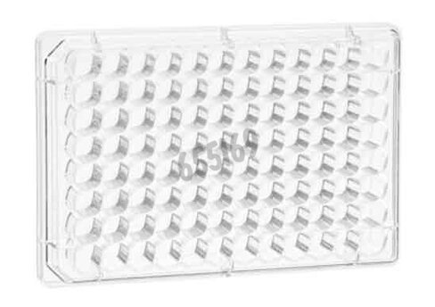 Microplaque 96 puits réceptrive pour Thincert x 32