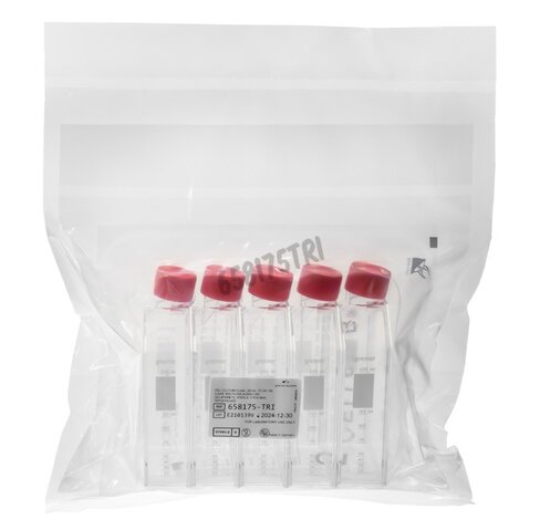 Flacon de culture 250ml col incliné capuchon filtre 75cm² Greiner triple emballage stérile x 90