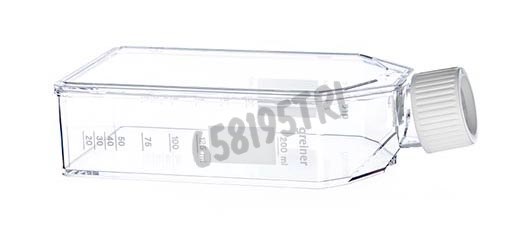 Flacon de culture en suspension col incliné capuchon filtre 75cm² Greiner triple emballage x 90