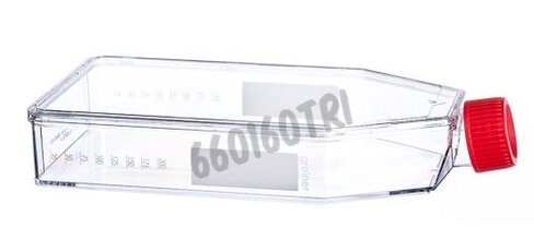 Flacon de culture col incliné capuchon standard forme basse 175cm² Greiner triple emballage x 40