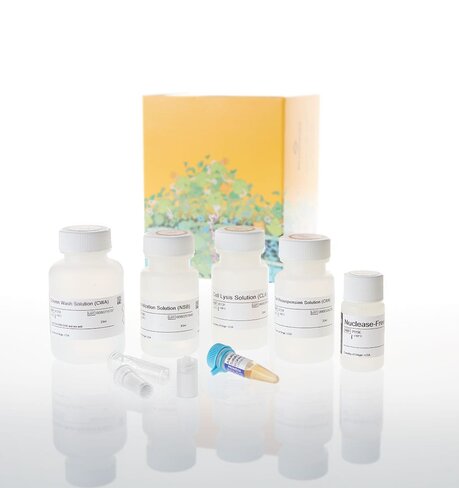 Wizard Plus SV Miniprep DNA Purif. Sys