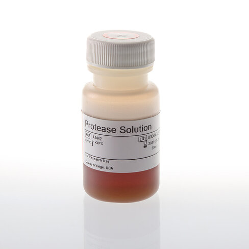 Protease Solution, 30 ml