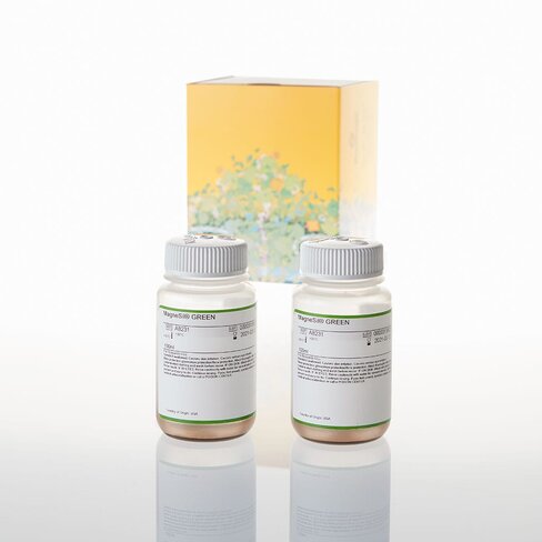 Wizard MagneSil Seq'ing Reaction Clean