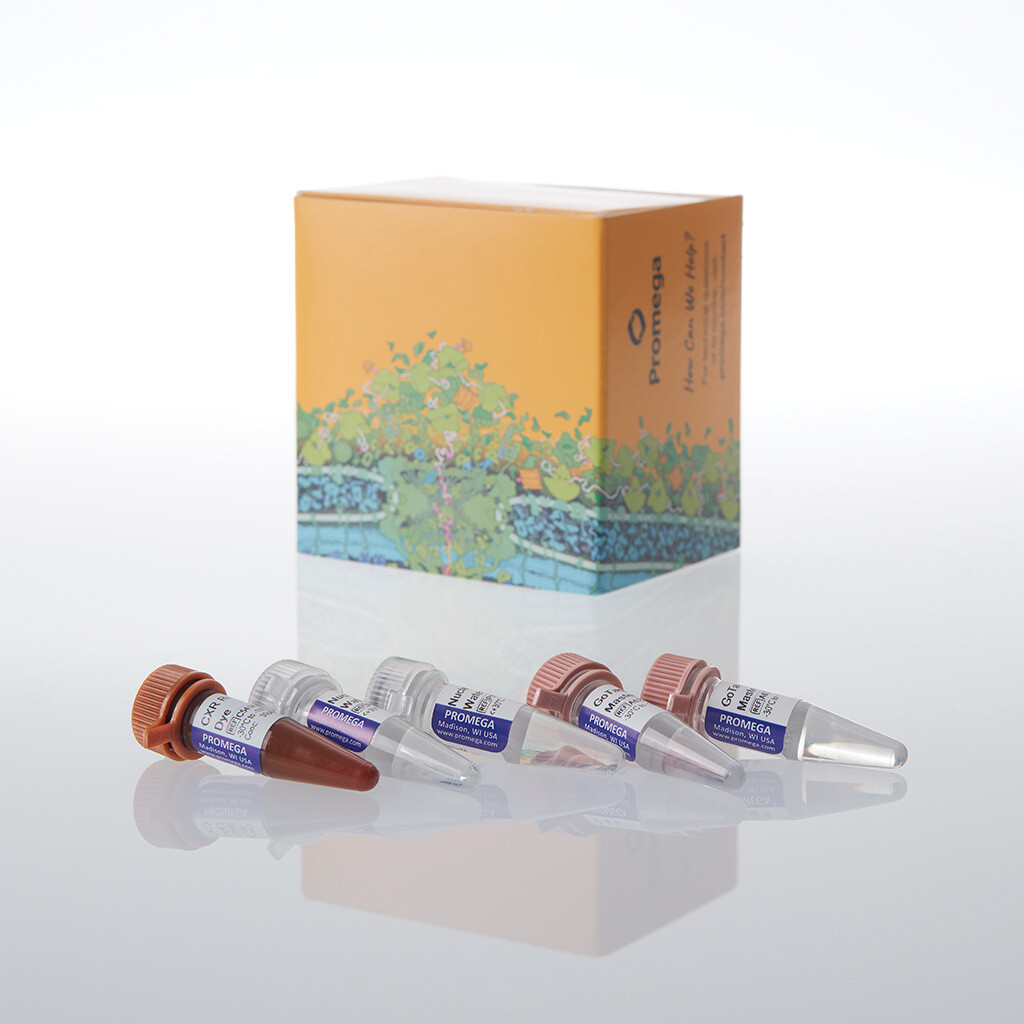 GoTaq Endure qPCR Master Mix, 200 rxn