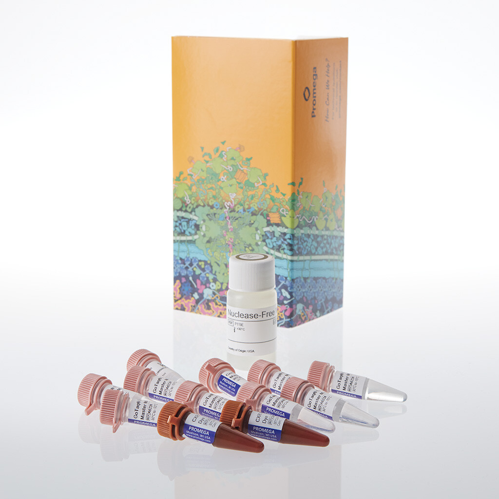 GoTaq Endure qPCR Master Mix, 1000 rxn