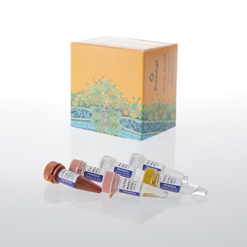 GoTaq Endure RT-qPCR System, 200 rxn