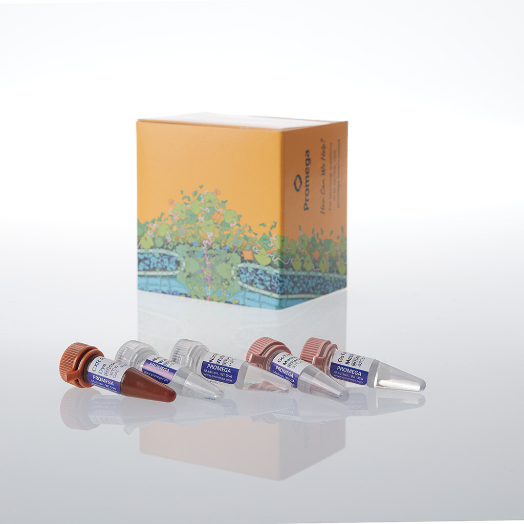 GoTaq Endure qPCR Direct Amp Bundle