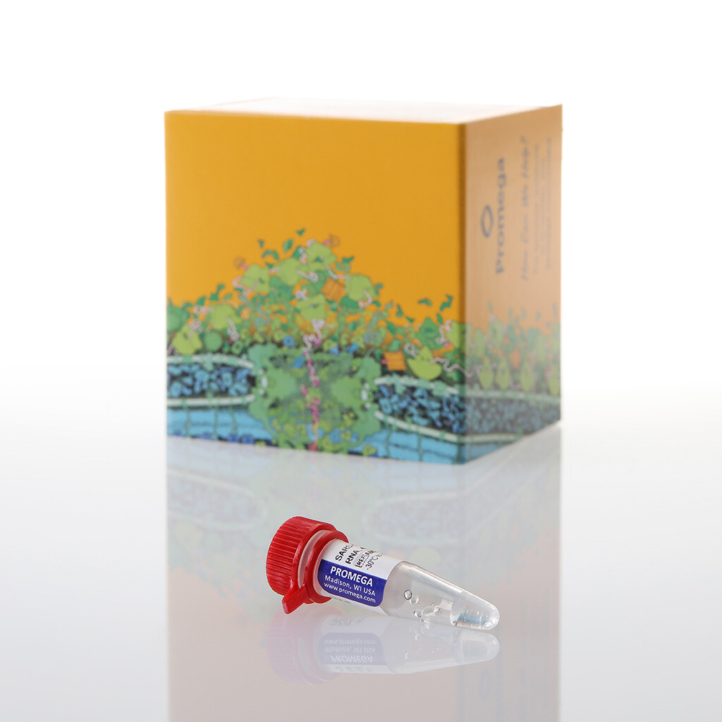 SARS-CoV-2 (N+E) RNA Quant Standard