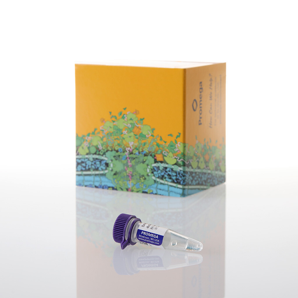 SARS-CoV-2 (N+E) dsDNA Quant Standard