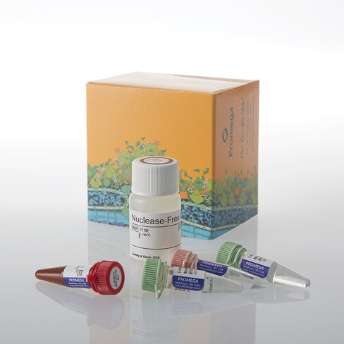 GoTaq Legionella pneumophila qPCR Kit