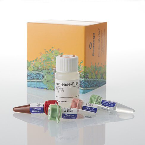 GoTaq Legionel spp/pneumophila/SG1 qPCR