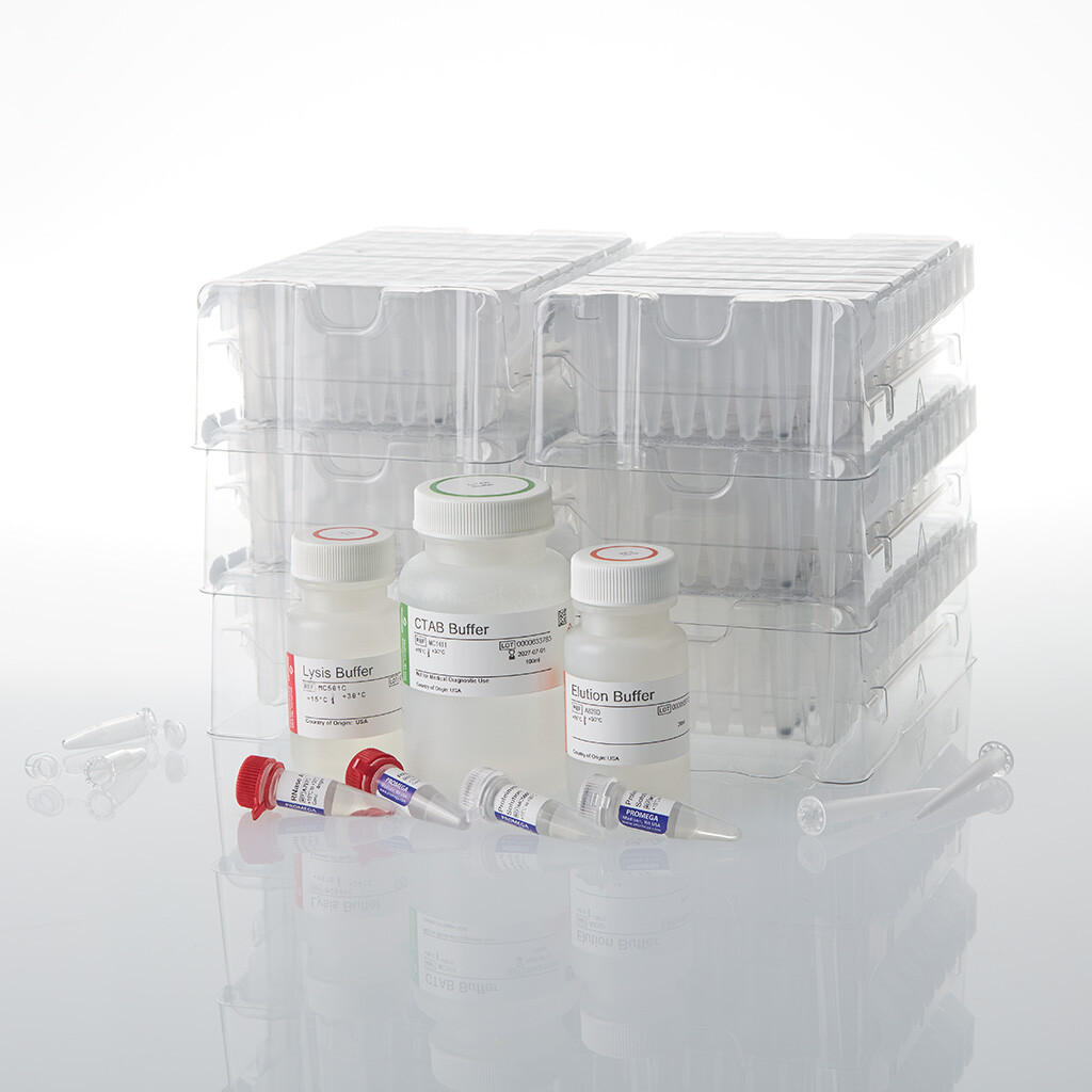 Maxwell RSC PureWater Kit