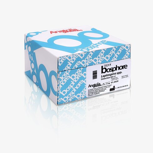 Bosphore Leptospira spp. Detection Kit v1