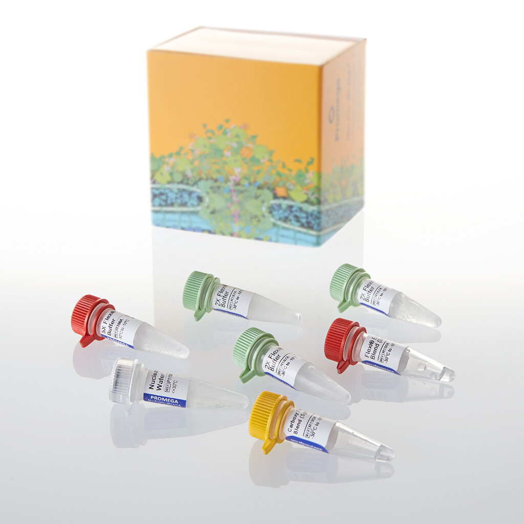 Carboxy Flexi System, Transfer