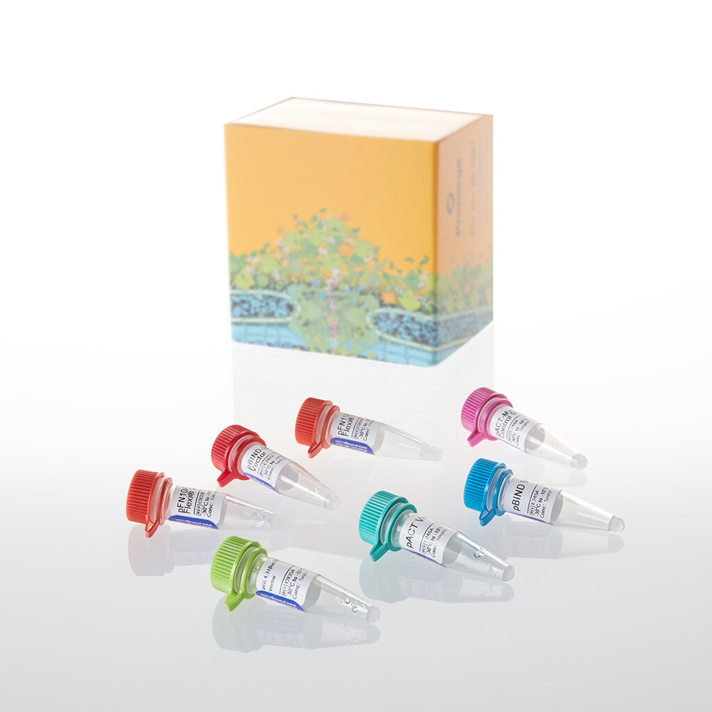 CheckMate /Flexi Vector Mammalian