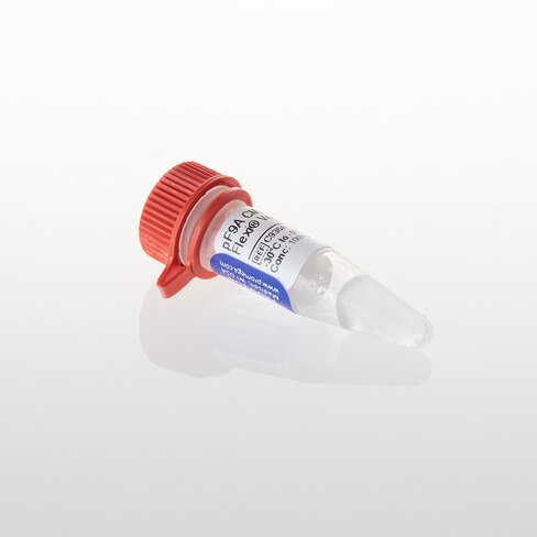 PF9A CMV hRluc-neo Flexi Vector, 20µg