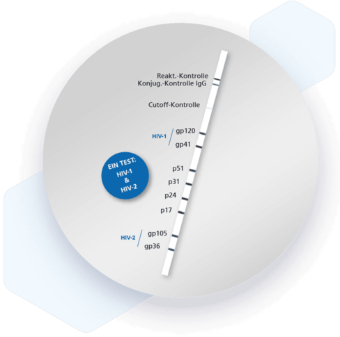 RecomLine HIV-1 HIV-2 IgG