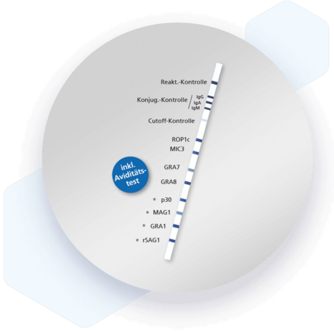 RecomLine Toxoplasma IgG [Avidit.]