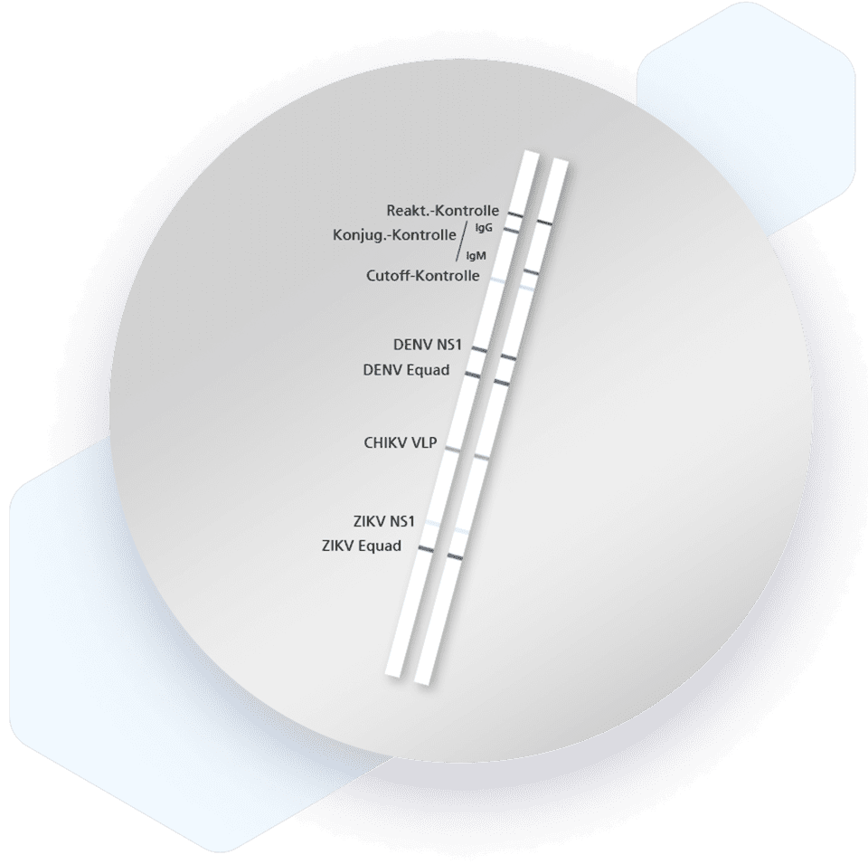 RecomLine Tropical Fever IgG