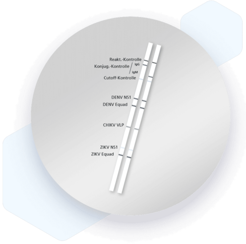 RecomLine Tropical Fever IgM