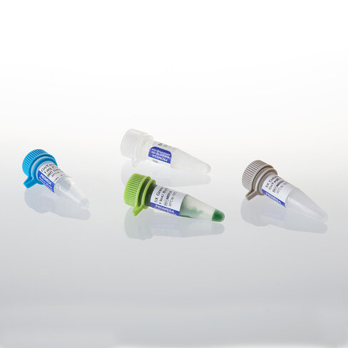 GoTaq MDx Taq Polymerase, 5µ / µl, 100 µ