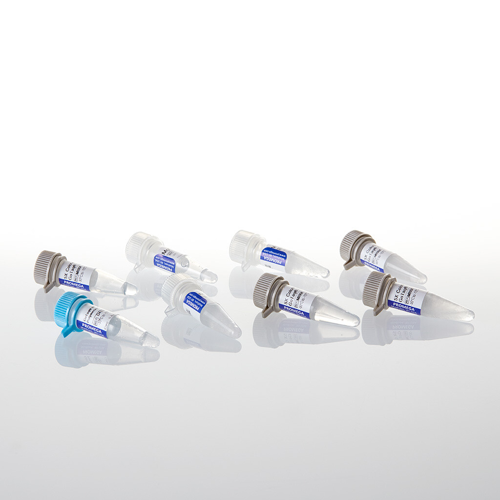 GoTaq MDx Taq Polymrse, GF, 5µ /µl, 500 µ